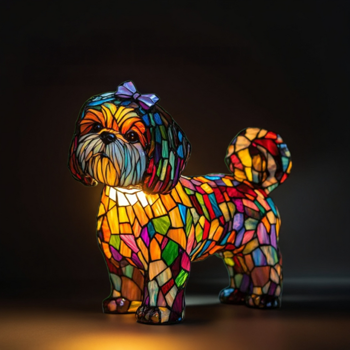 The Magical Enchantment of the Princess Lamp